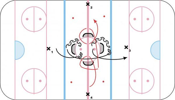 4 Net Agility Skating diagram