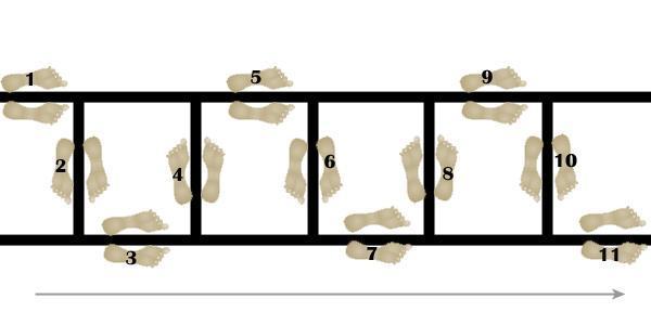 Agility Ladder: Snake diagram
