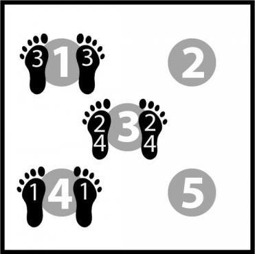 Dots - 4-3-1-3-4 diagram