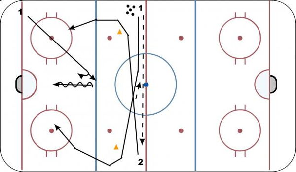 Wide NZ 2 x 1 diagram